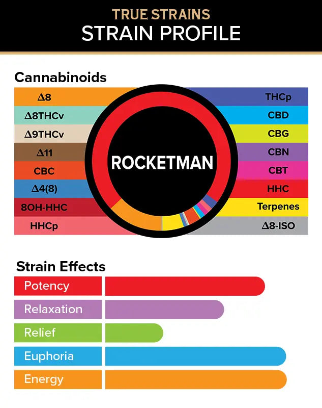 3Chi Rocketman 2g Sativa - Battery and Cart True Strains Rocketman